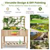 Raised Garden Bed Elevated Wooden Planter Box with Trellis