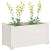 Garden Planters 2 pcs White 23.6"x12.2"x12.2" Solid Wood Pine