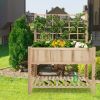 Raised Garden Bed Elevated Wooden Planter Box with Trellis