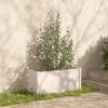 Garden Planters 2 pcs White 39.4"x19.7"x19.7" Solid Wood Pine