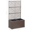 Trellis Raised Bed with 2 Pots 22.8"x11.8"x42.1" Poly Rattan Brown