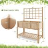 Raised Garden Bed Elevated Wooden Planter Box with Trellis