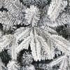 Snow Flocked Christmas Tree 7ft Artificial Hinged Pine Tree with White Realistic Tips Unlit