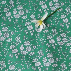 Capel 80 Long Velvet Cotton Digital Printing Fabric (Option: Green-3m)