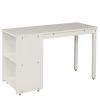 Low Study Twin Loft Bed with Cabinet and Rolling Portable Desk